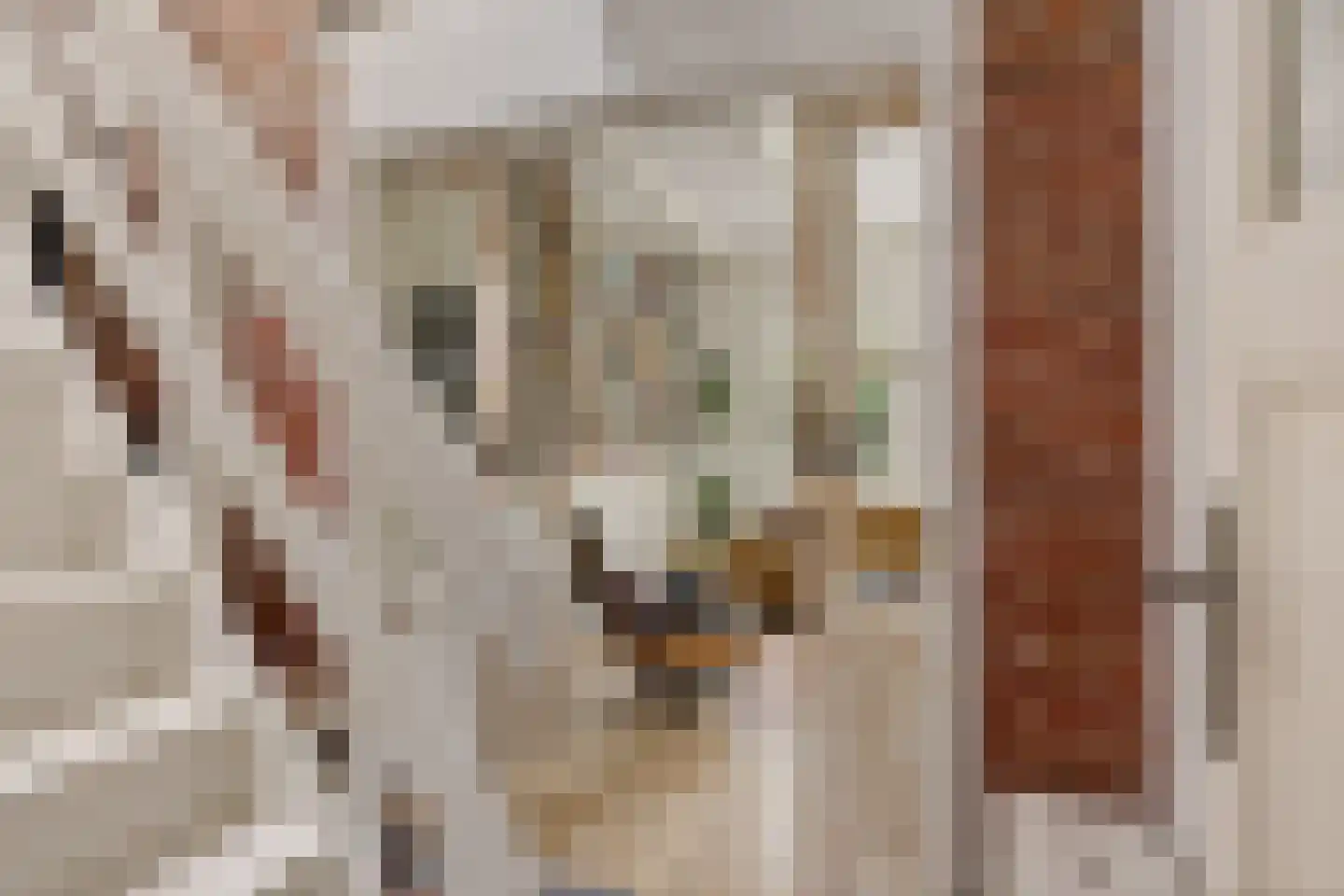 Torenstraat 9 Ezinge thumbnail 26