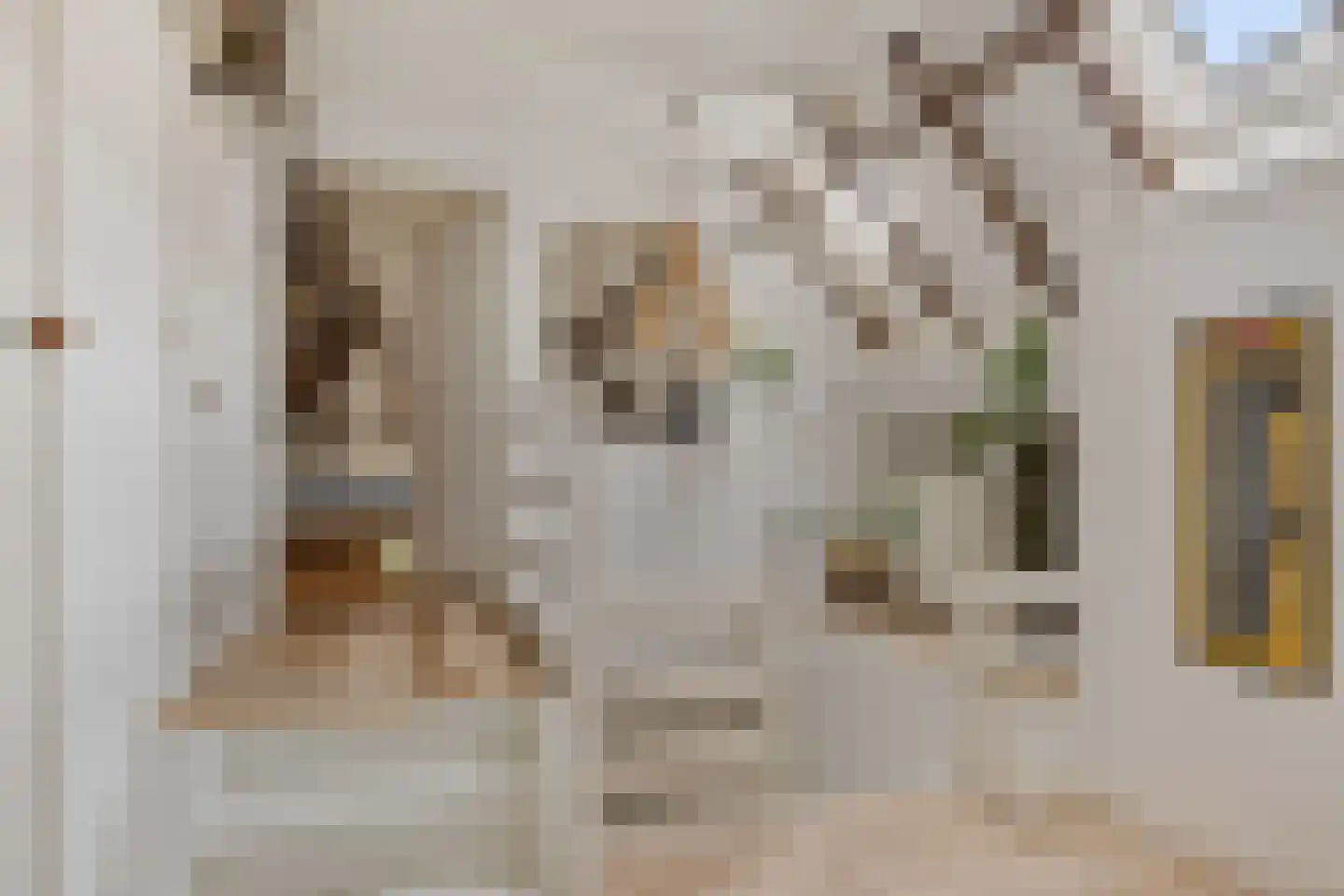 Torenstraat 9 Ezinge thumbnail 27