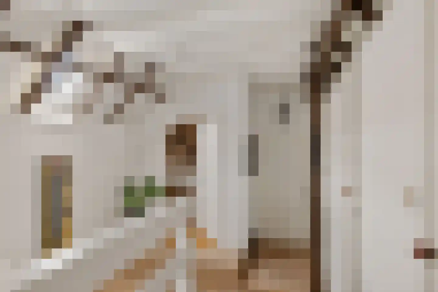 Torenstraat 9 Ezinge thumbnail 28