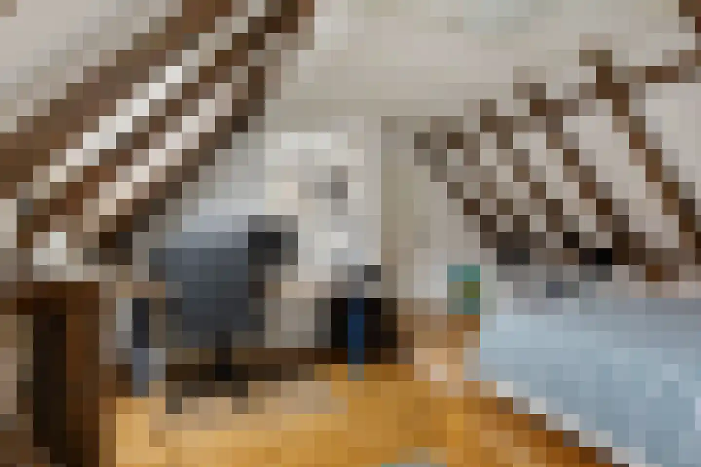 Torenstraat 9 Ezinge thumbnail 30