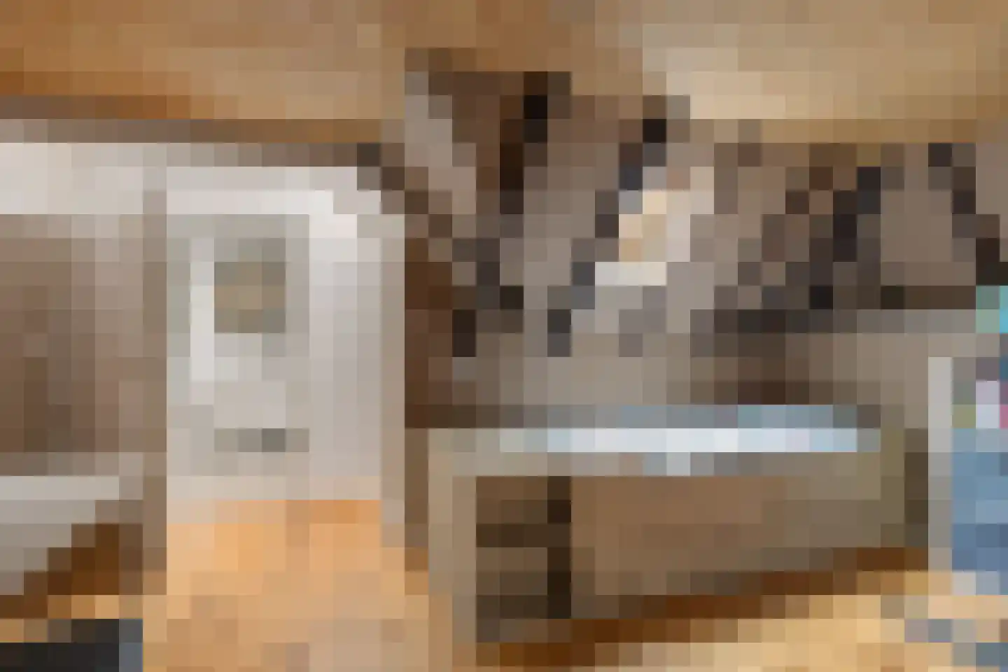 Torenstraat 9 Ezinge thumbnail 32