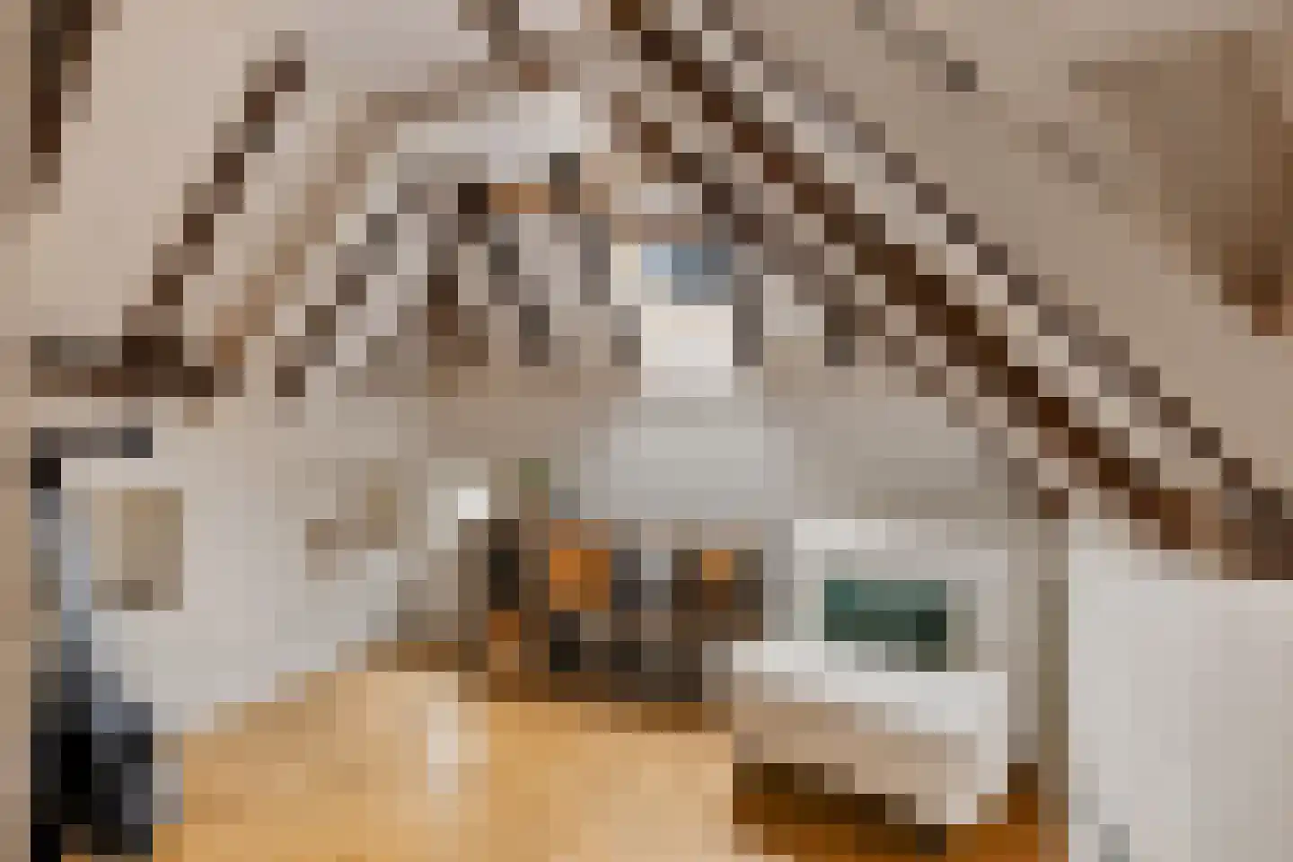Torenstraat 9 Ezinge thumbnail 33