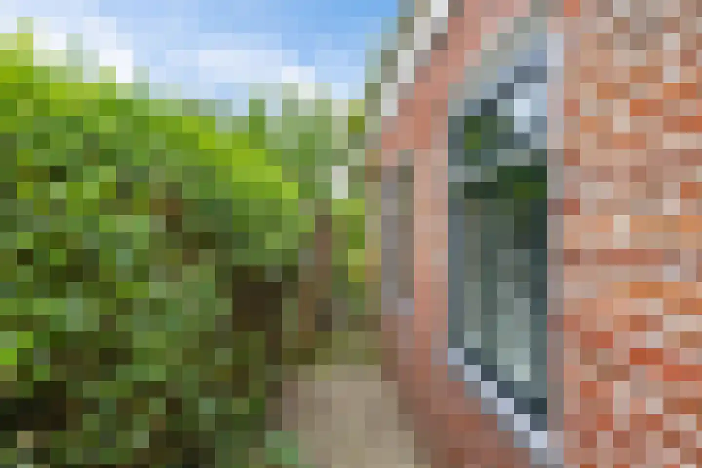 Torenstraat 9 Ezinge thumbnail 36