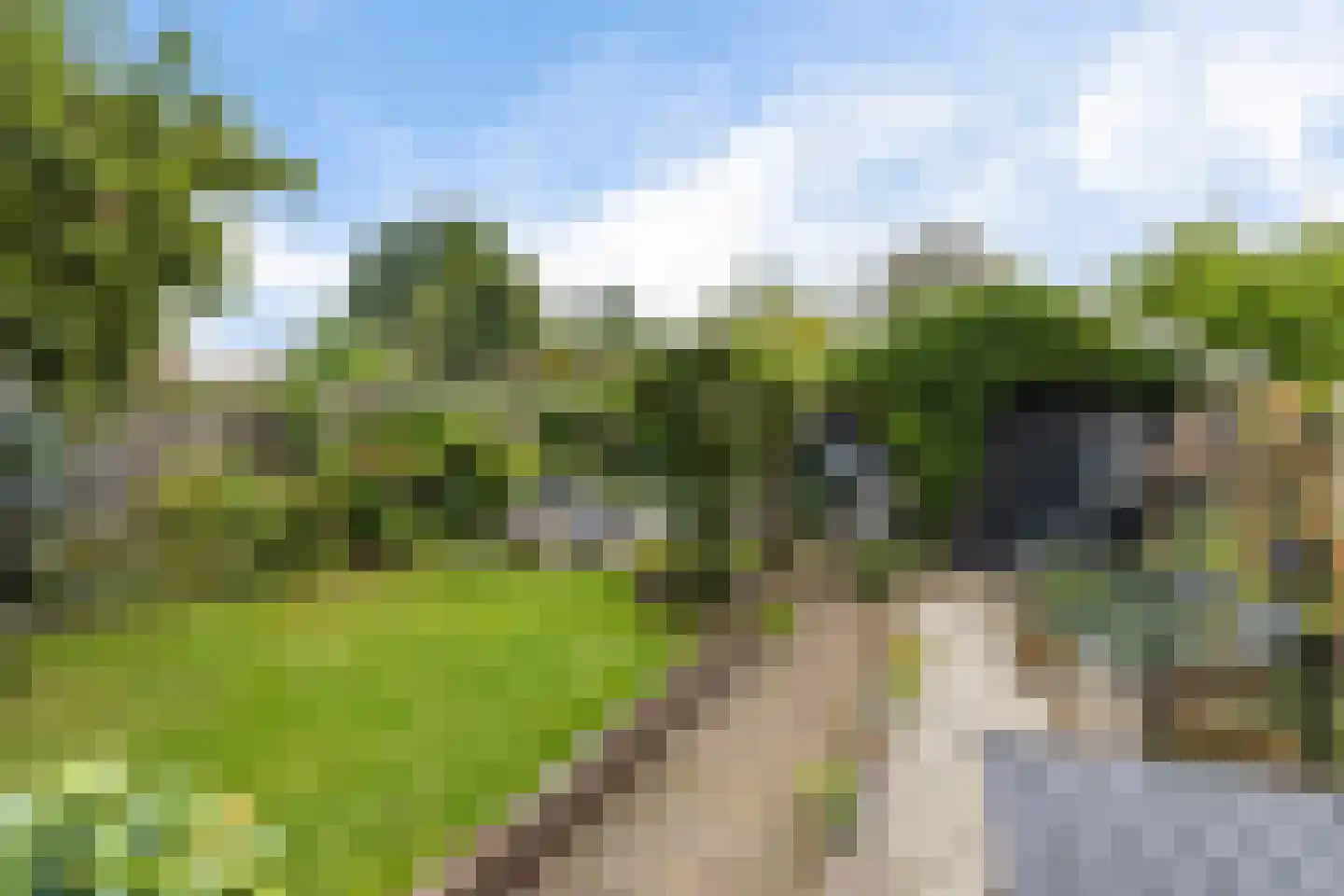 Torenstraat 9 Ezinge thumbnail 37