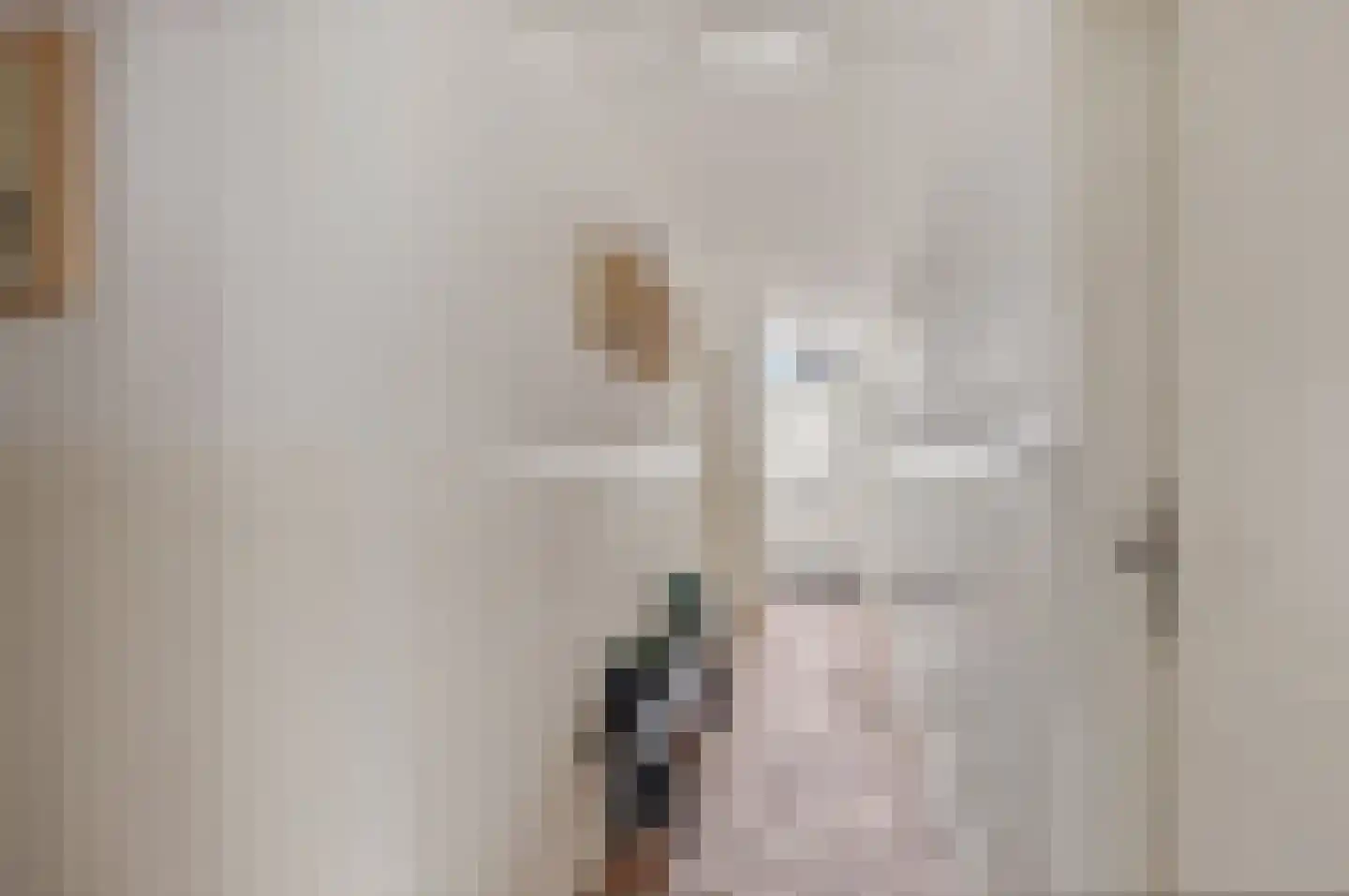 Torenstraat 9 Ezinge thumbnail 6