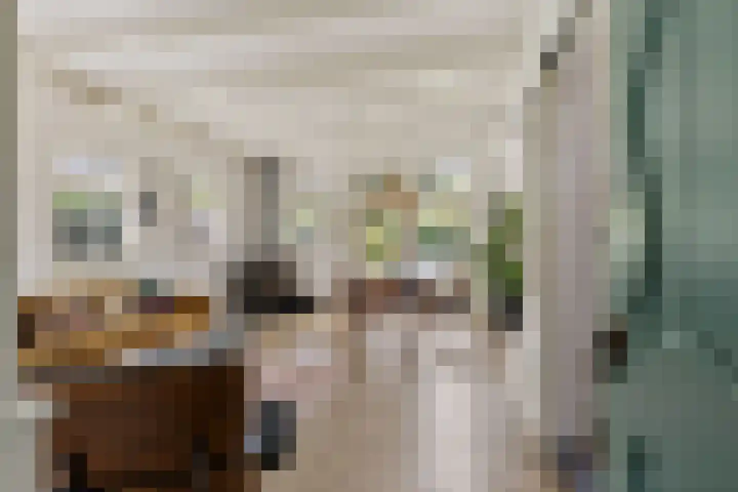 Torenstraat 9 Ezinge thumbnail 8