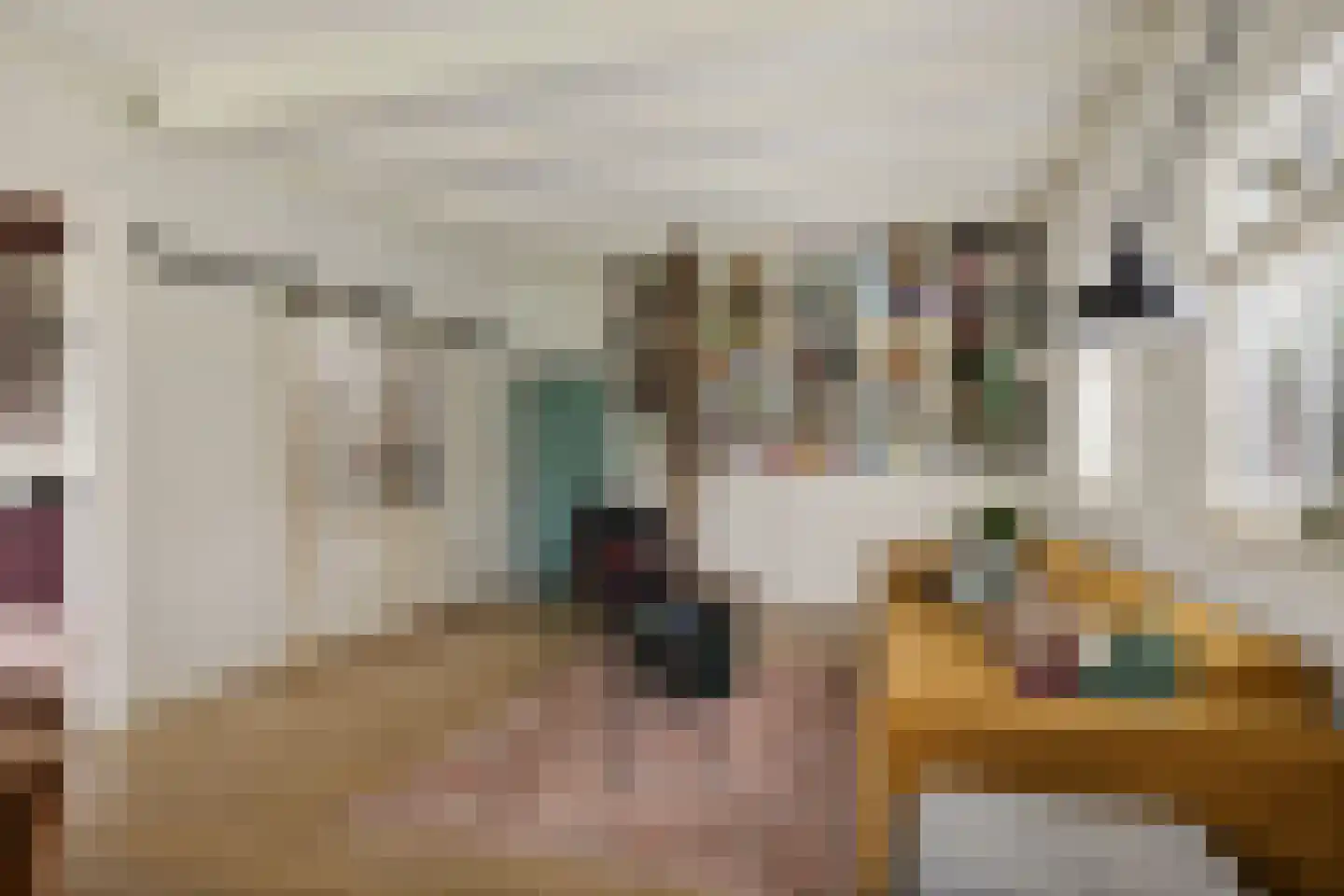 Torenstraat 9 Ezinge thumbnail 9