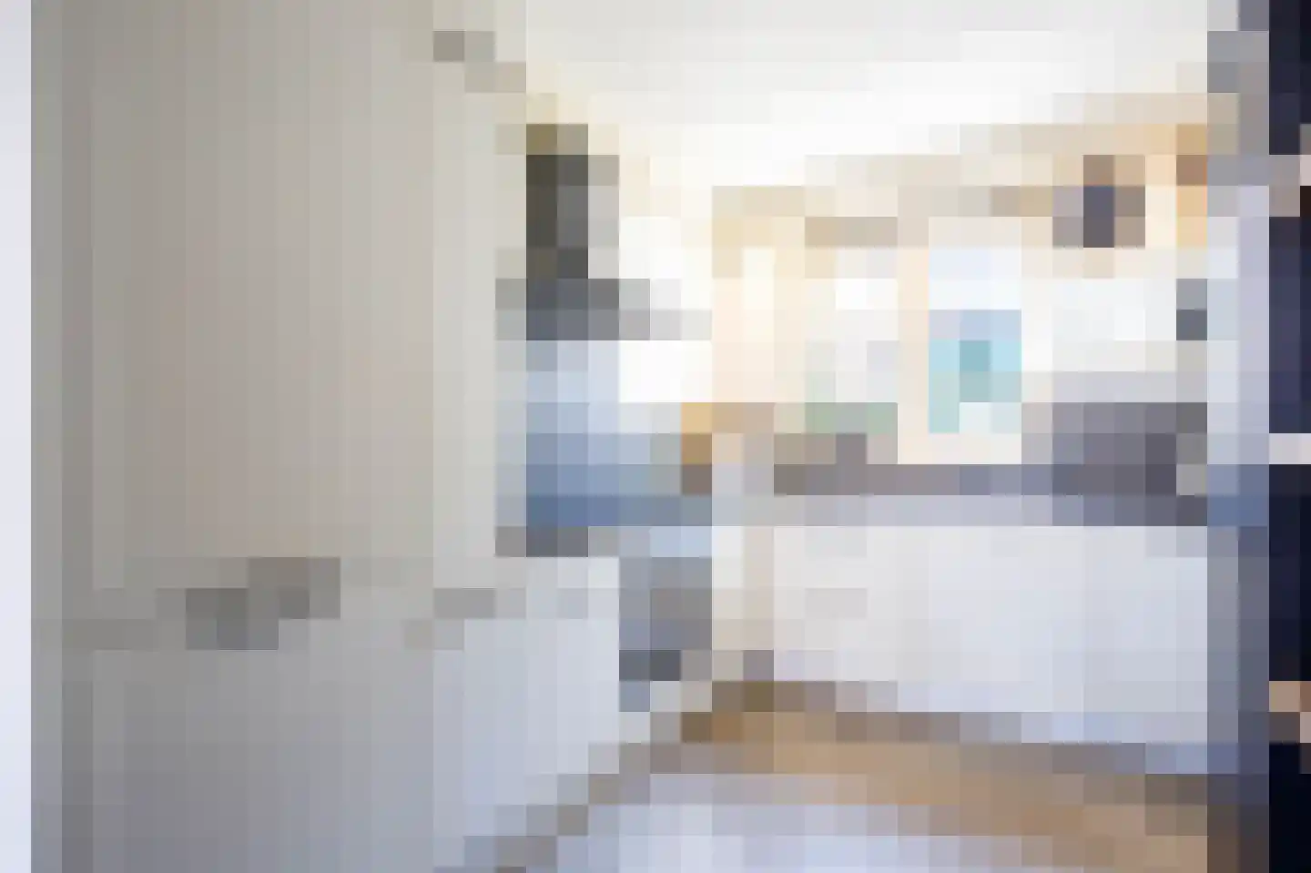 Torenstraat 9 Stolwijk thumbnail 14