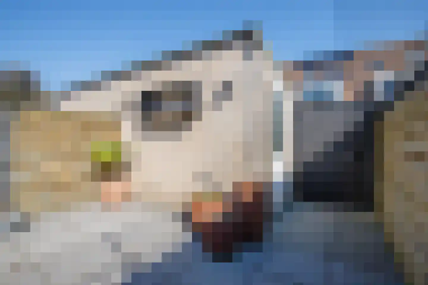 Torenstraat 9 Stolwijk thumbnail 31