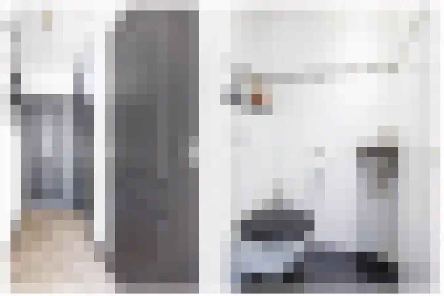 Torenstraat 9 Stolwijk thumbnail 8