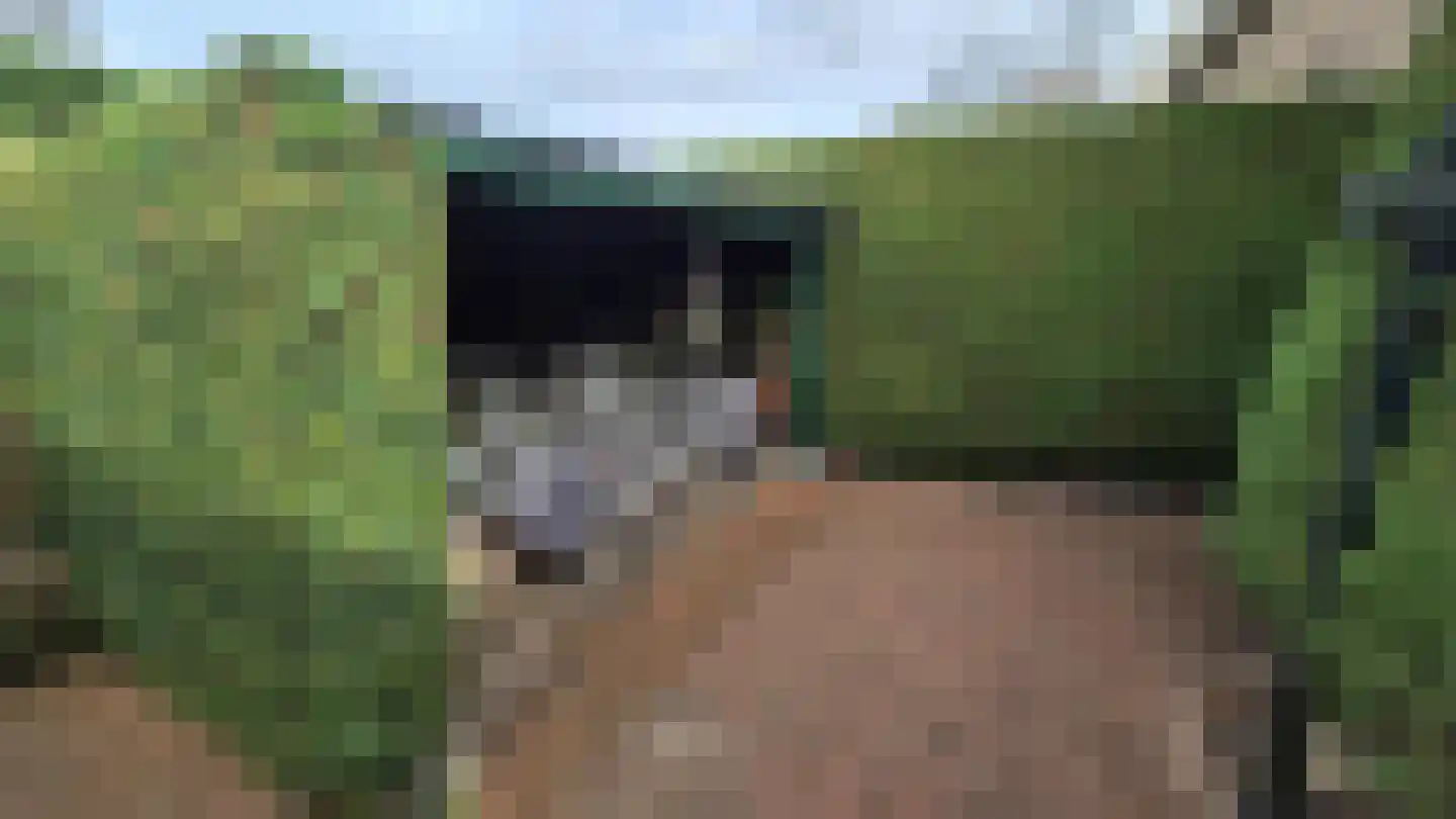 Torenstreek 19 Schiermonnikoog thumbnail 10