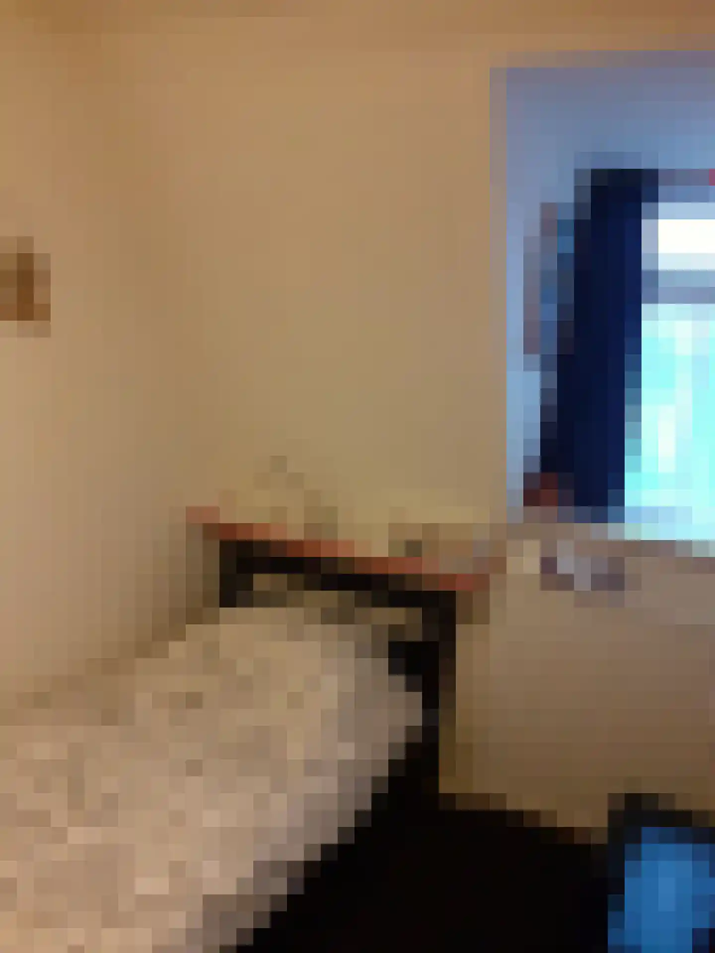 Torenstreek 19 Schiermonnikoog thumbnail 23