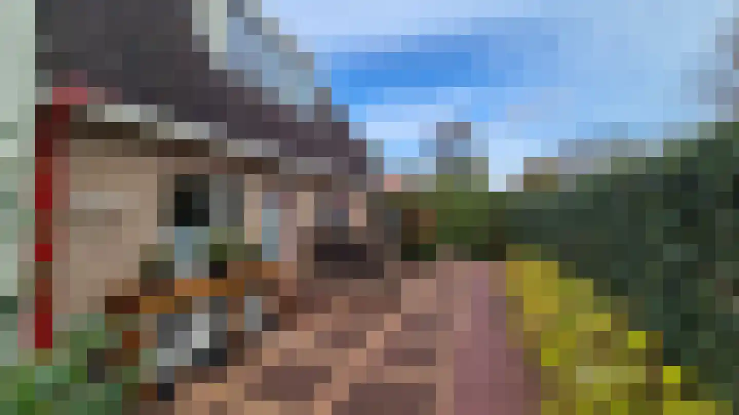 Torenstreek 19 Schiermonnikoog thumbnail 26
