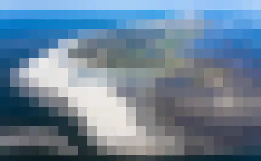 Torenstreek 19 Schiermonnikoog thumbnail 27