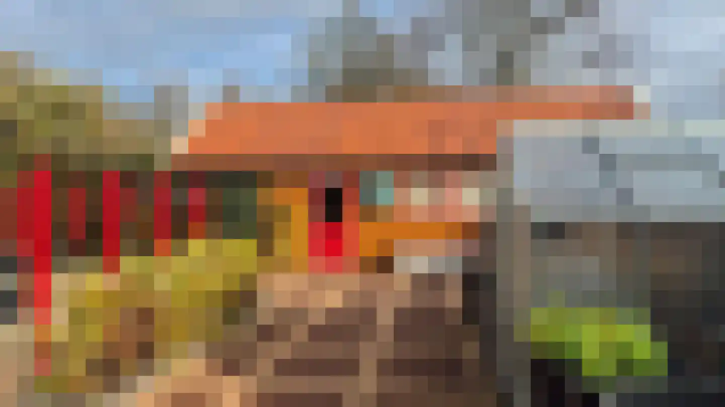 Torenstreek 19 Schiermonnikoog thumbnail 7