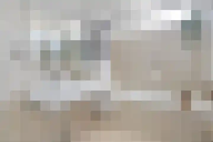 Torentrans 105 Middelburg thumbnail 18