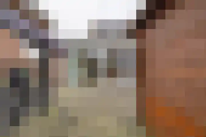 Torentrans 136 Middelburg thumbnail 22