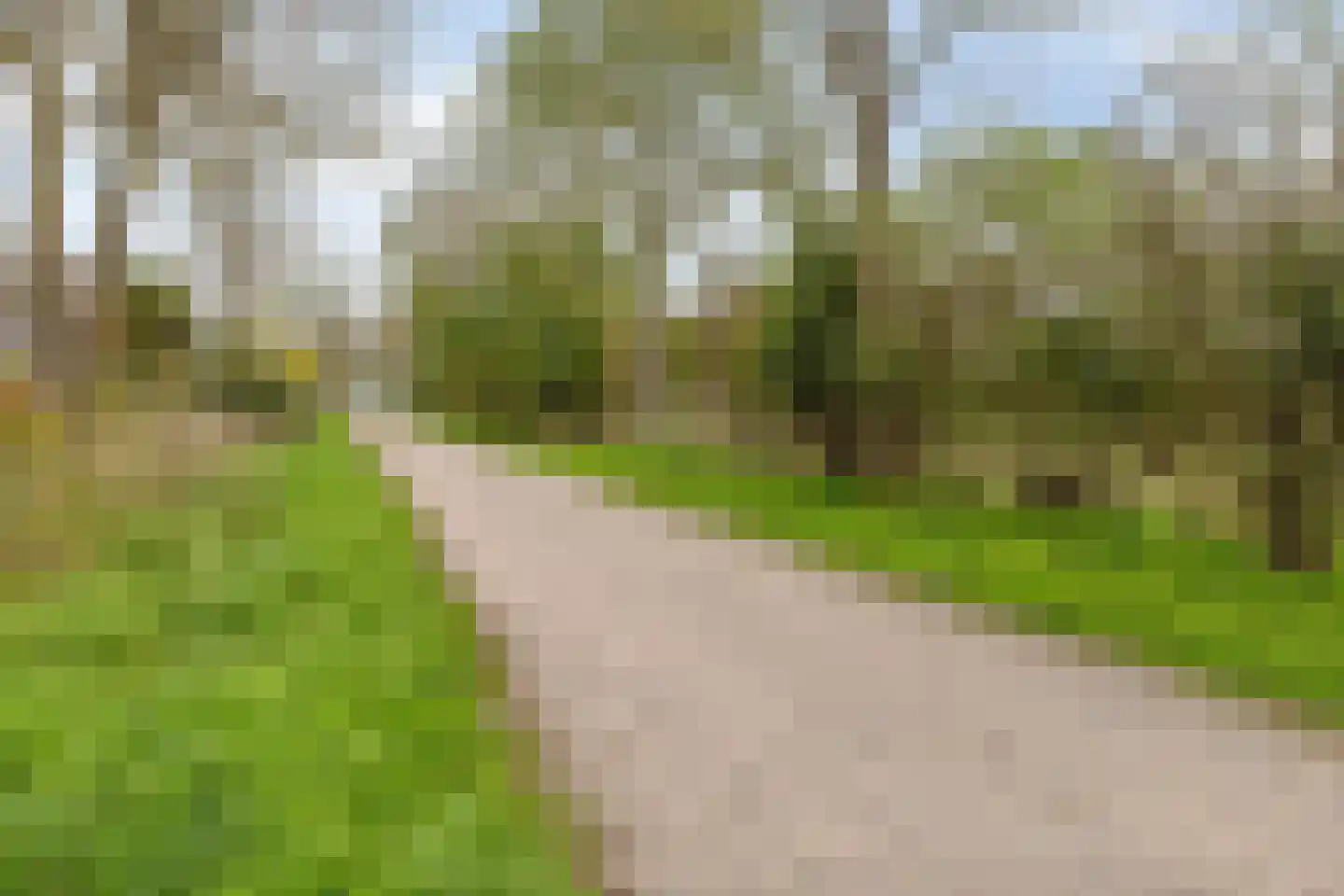 Torentrans 139 Middelburg thumbnail 39