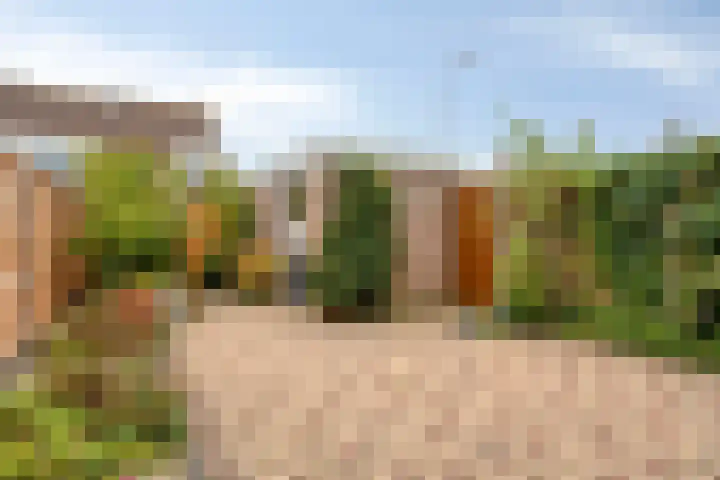 Torentrans 139 Middelburg thumbnail 6