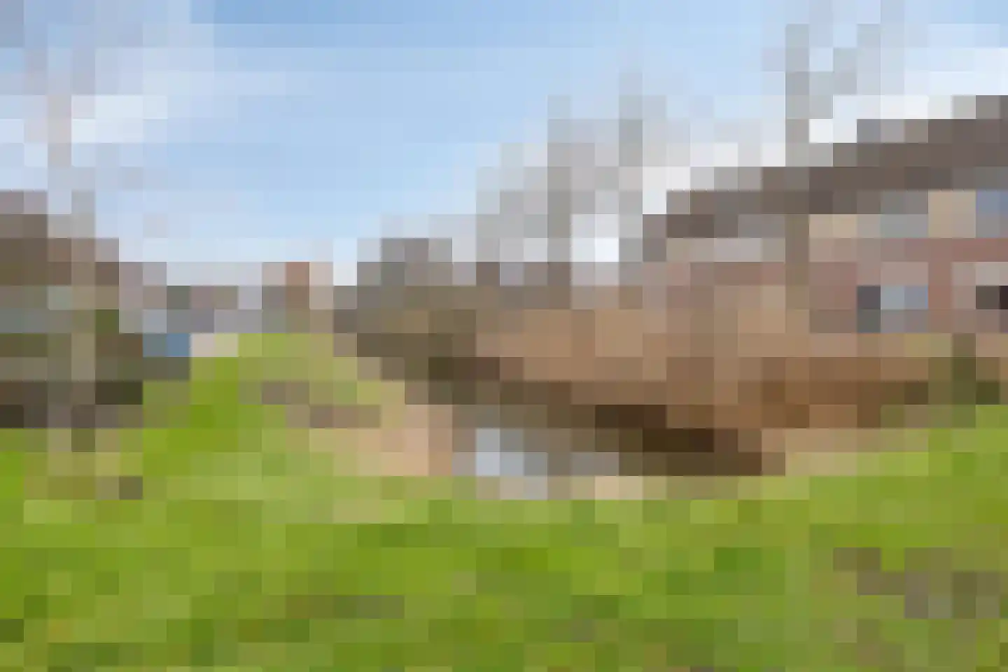 Torentrans 145 Middelburg thumbnail 28
