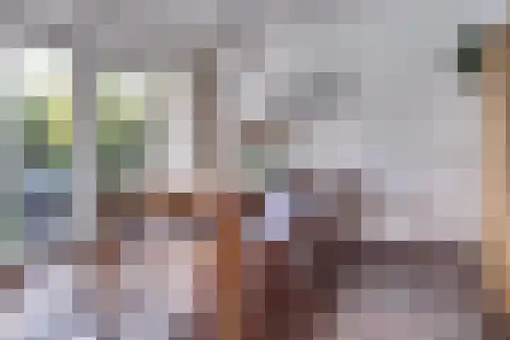 Torentrans 15 Middelburg thumbnail 10