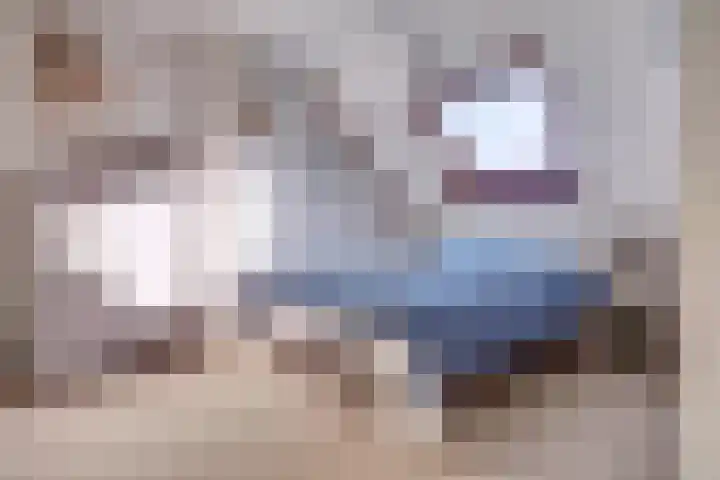Torentrans 15 Middelburg thumbnail 15