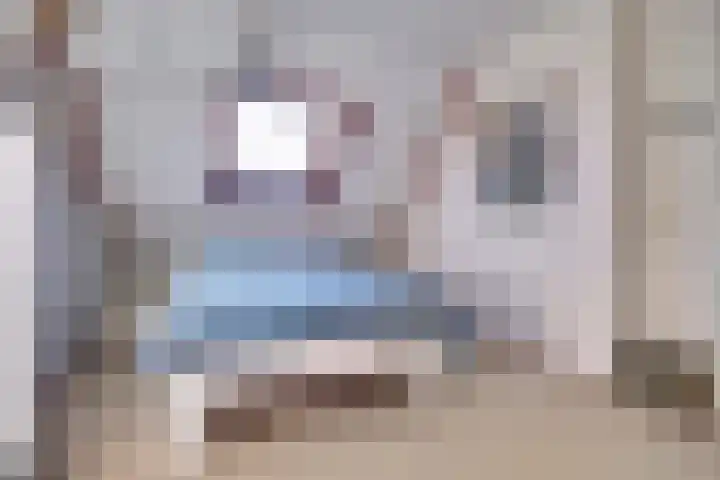 Torentrans 15 Middelburg thumbnail 17