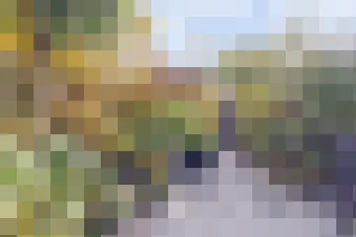 Torentrans 15 Middelburg thumbnail 27