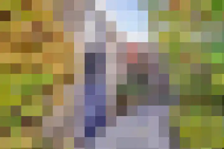 Torentrans 15 Middelburg thumbnail 31