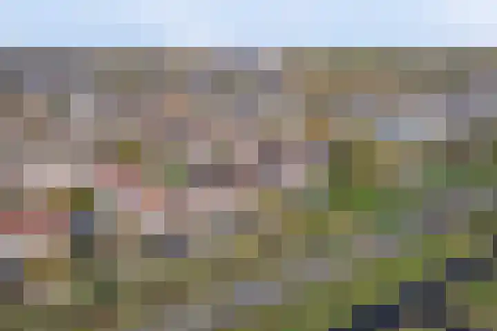 Torentrans 15 Middelburg thumbnail 32