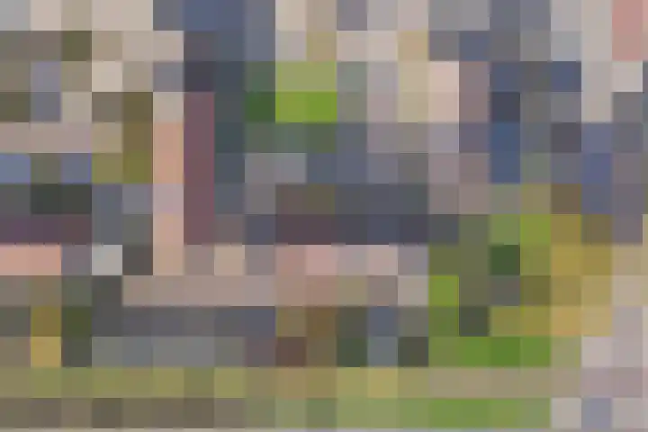 Torentrans 15 Middelburg thumbnail 33
