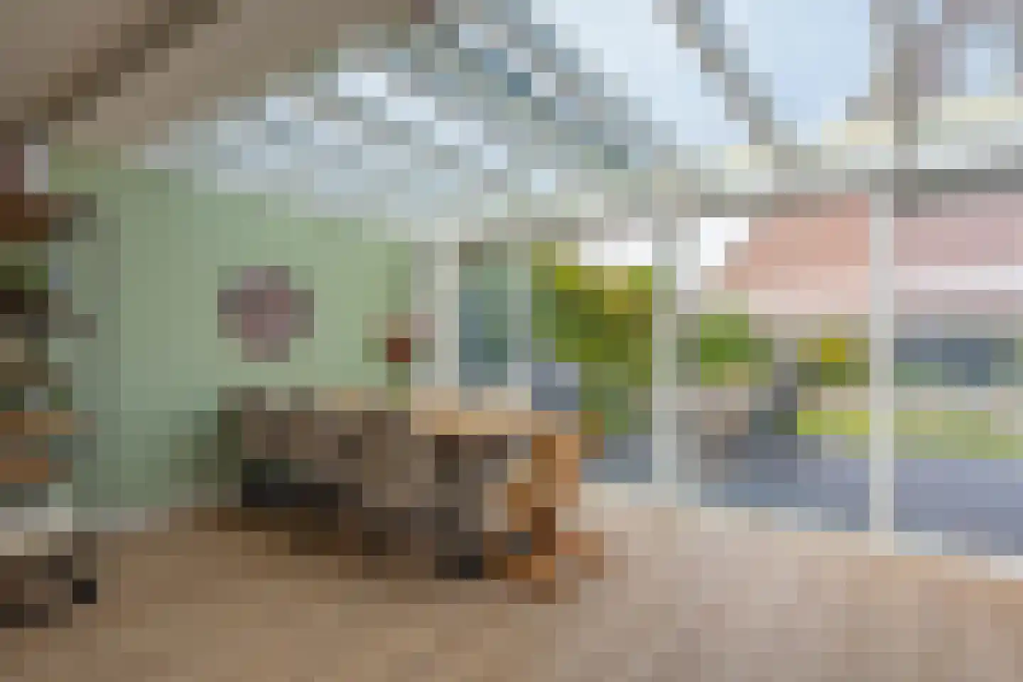 Torentrans 193 Middelburg thumbnail 17
