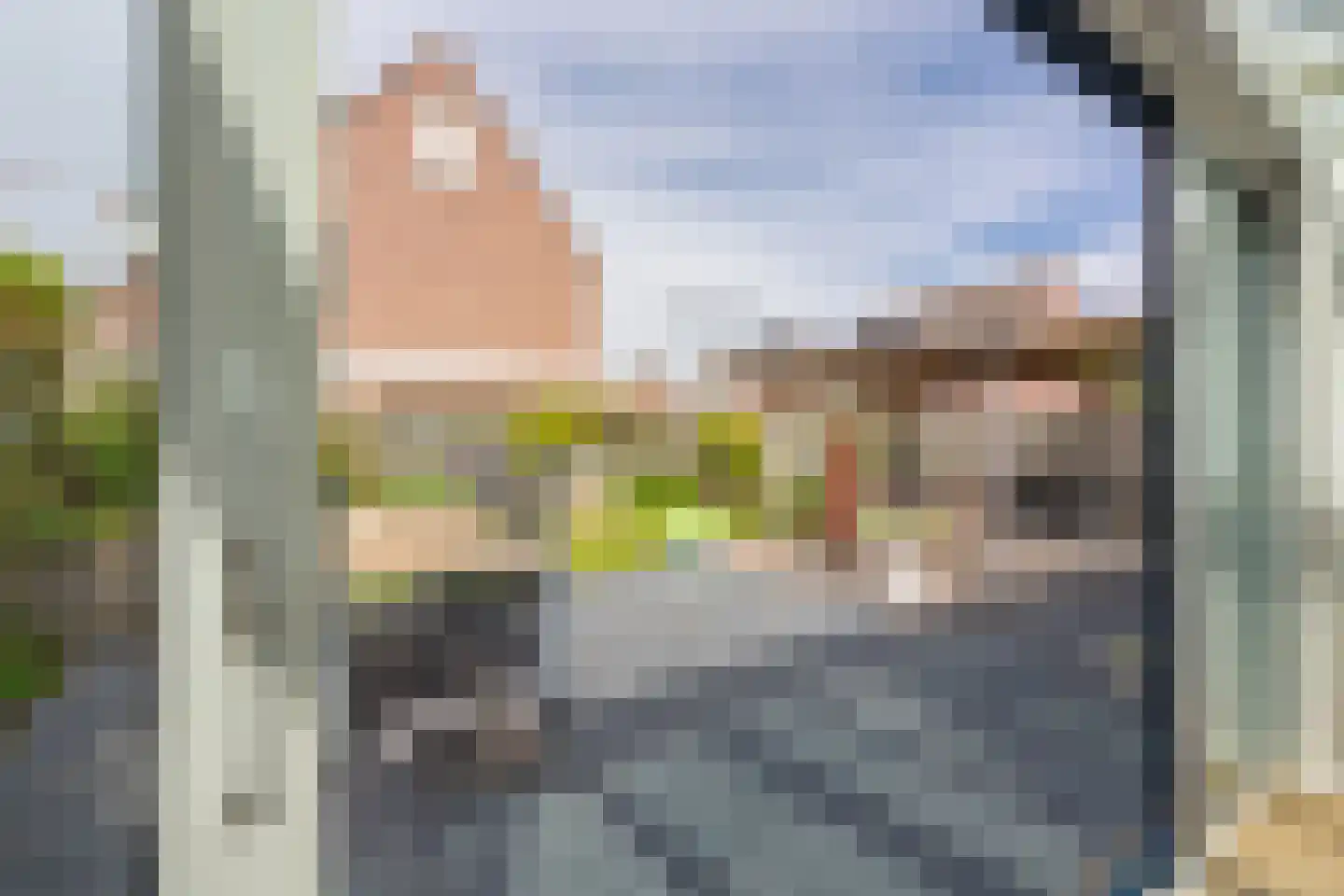 Torentrans 193 Middelburg thumbnail 24