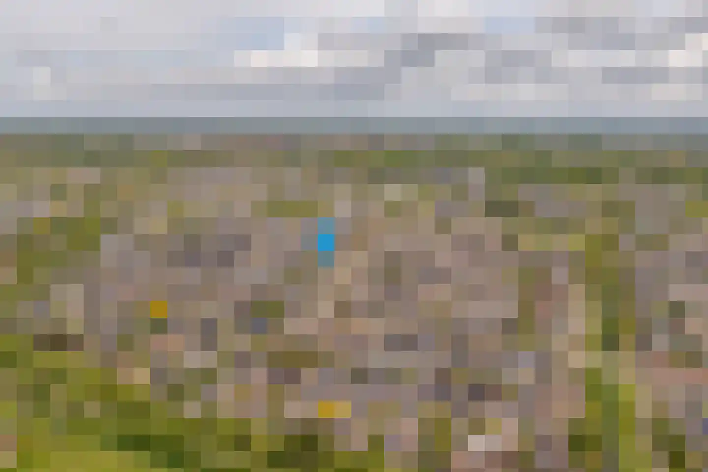 Torentrans 193 Middelburg thumbnail 5