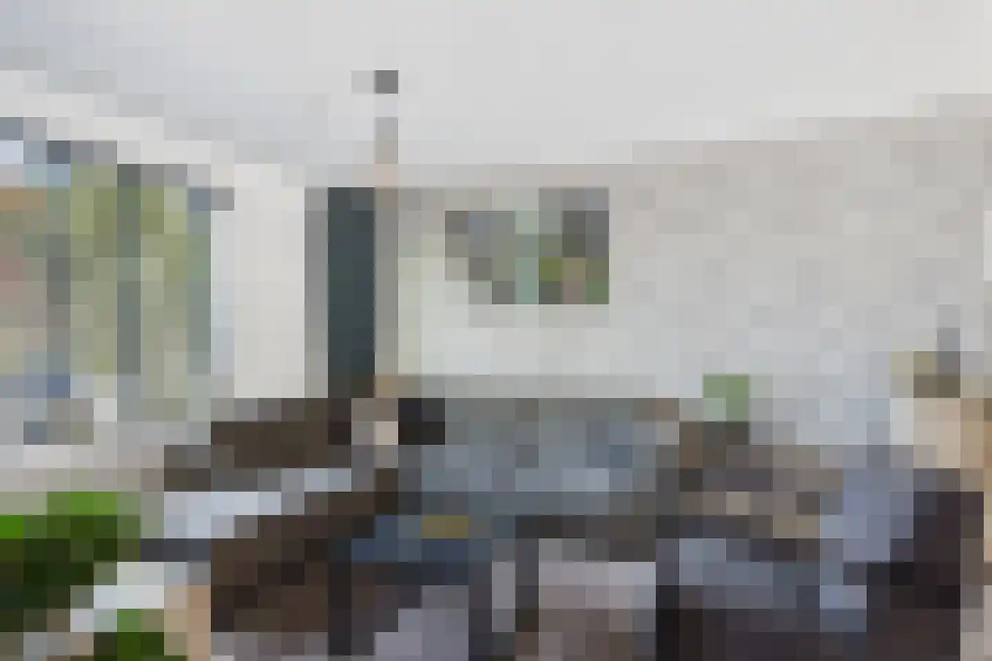 Torentrans 30 Middelburg thumbnail 12