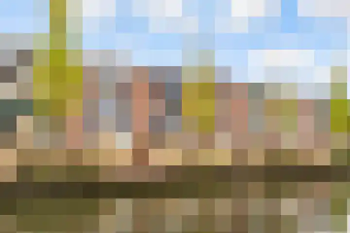 Torentrans 30 Middelburg thumbnail 5