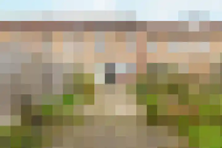 Torentrans 36 Middelburg thumbnail 25