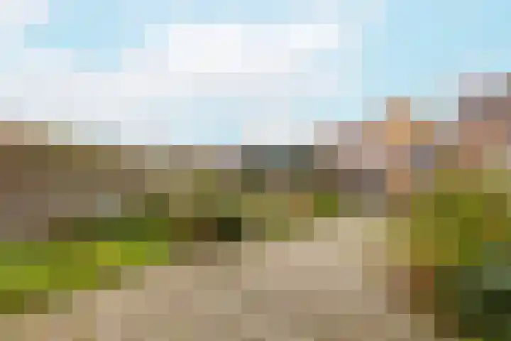 Torentrans 36 Middelburg thumbnail 26