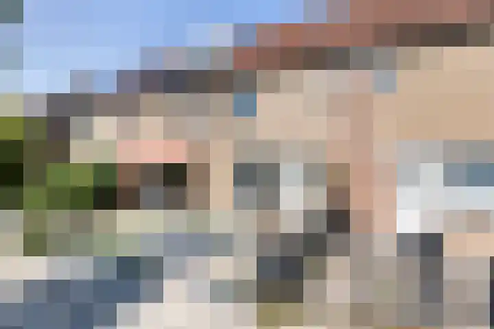 Torentrans 50 Middelburg thumbnail 5