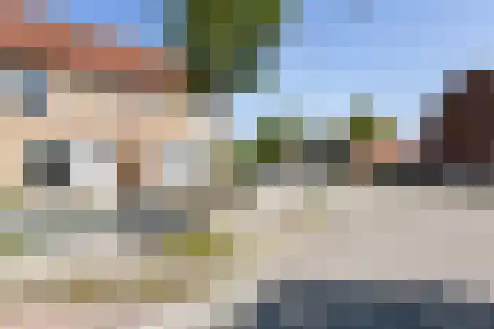 Torentrans 50 Middelburg thumbnail 6