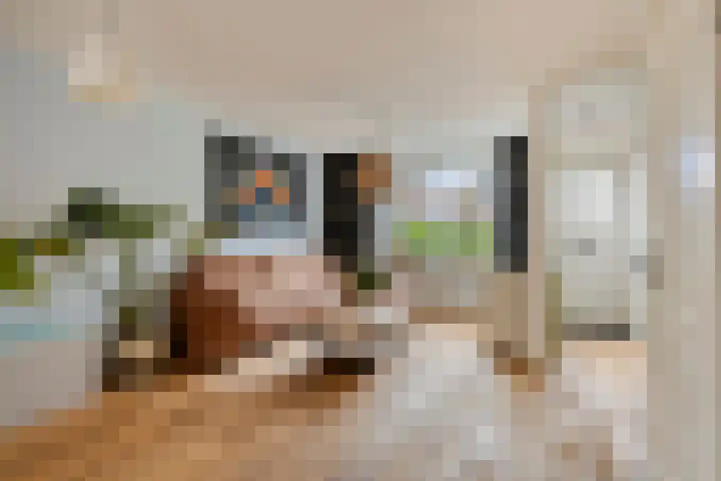 Torentrans 74 Middelburg thumbnail 19