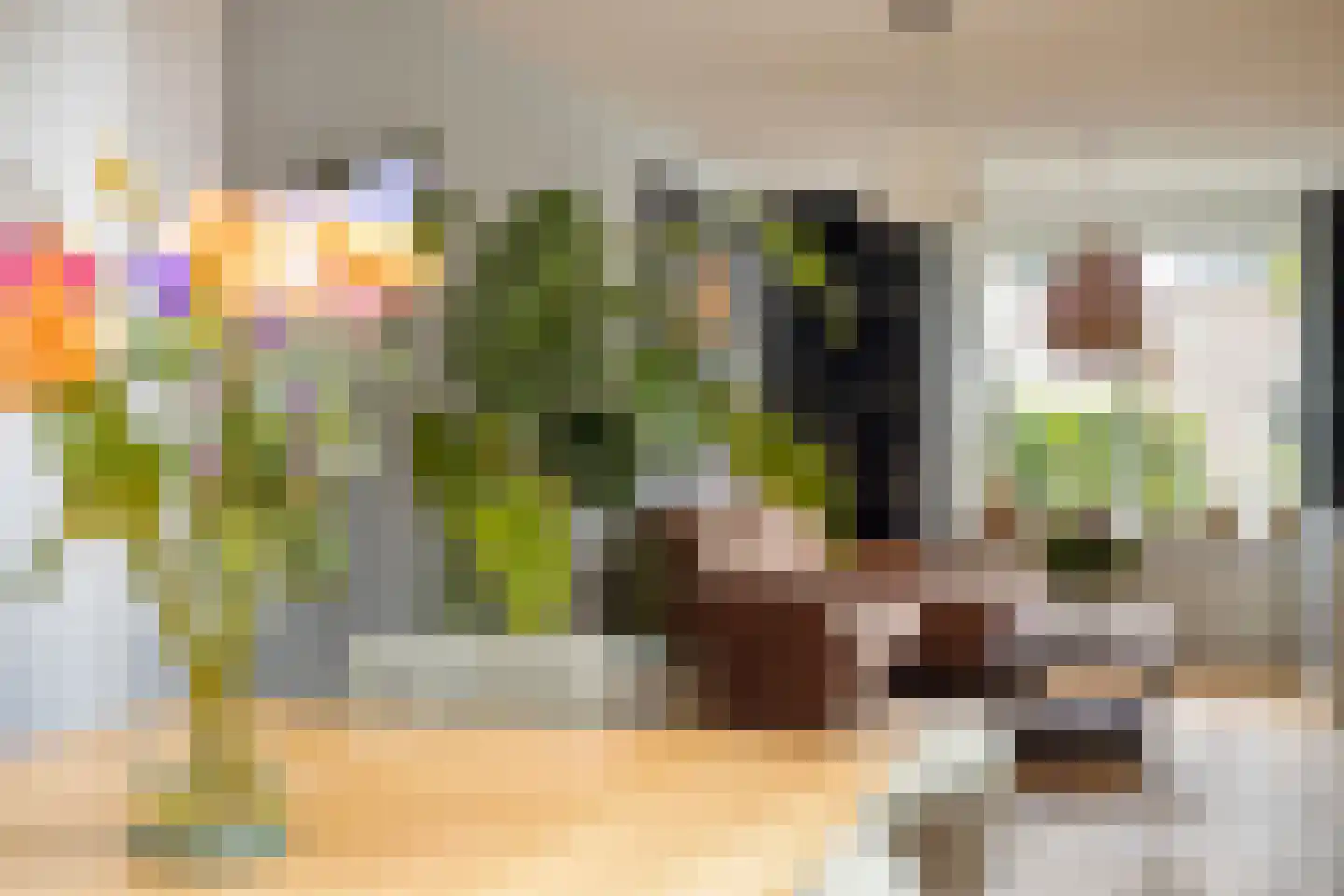 Torentrans 74 Middelburg thumbnail 21