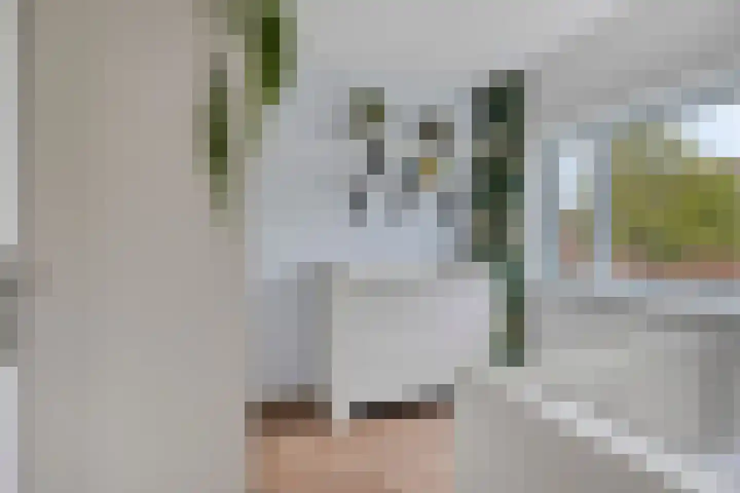 Torentrans 74 Middelburg thumbnail 32