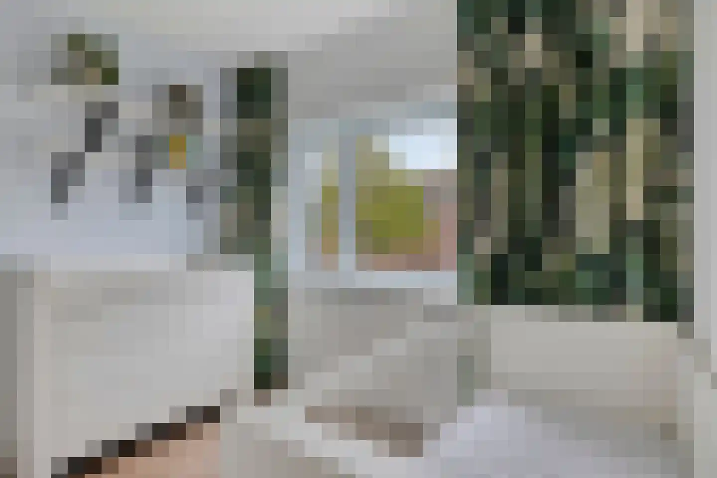 Torentrans 74 Middelburg thumbnail 33