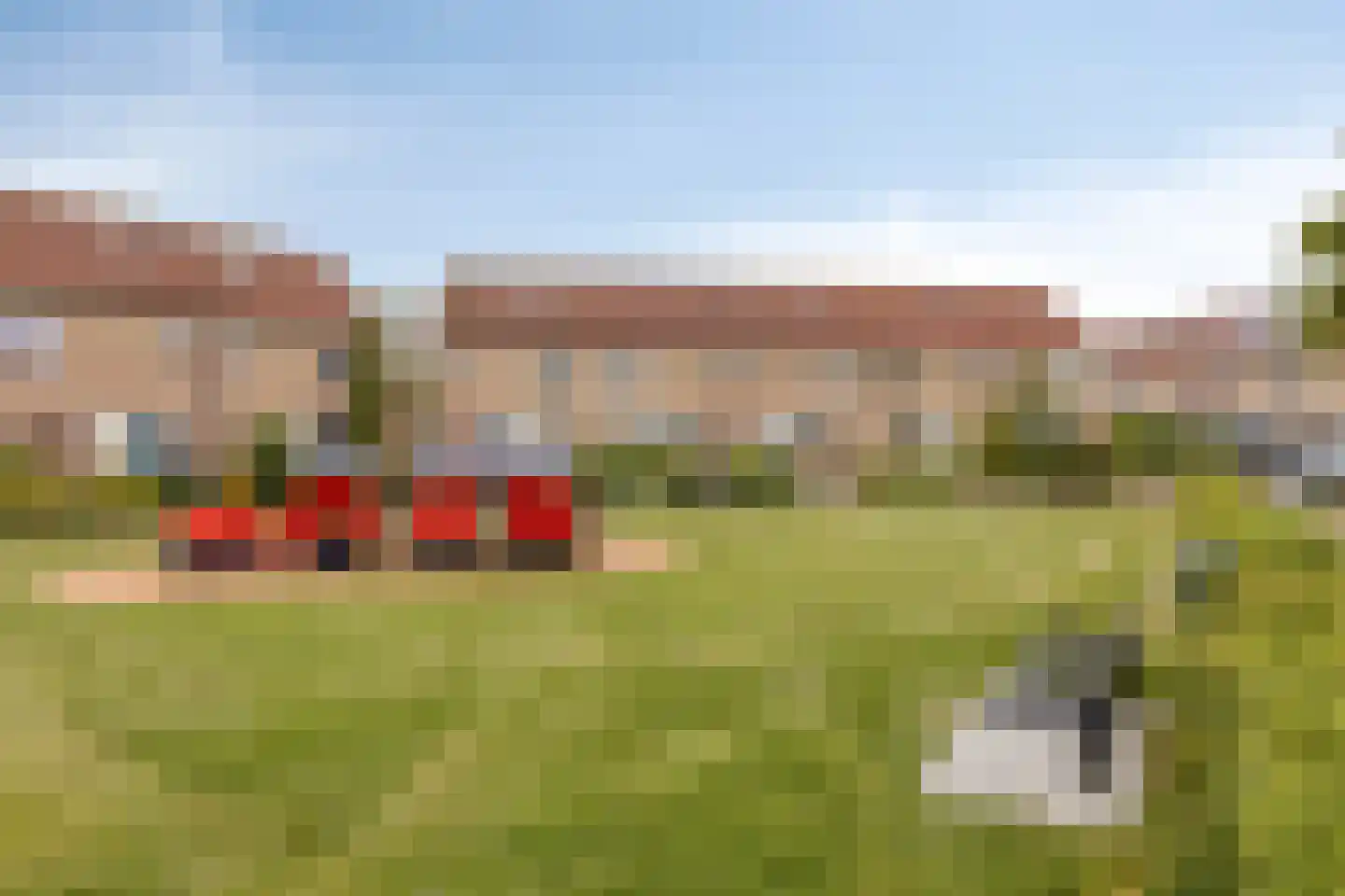 Torentrans 74 Middelburg thumbnail 47