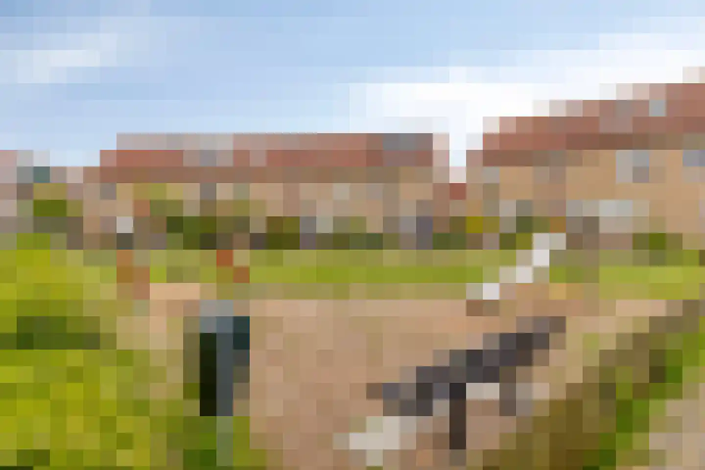 Torentrans 74 Middelburg thumbnail 48