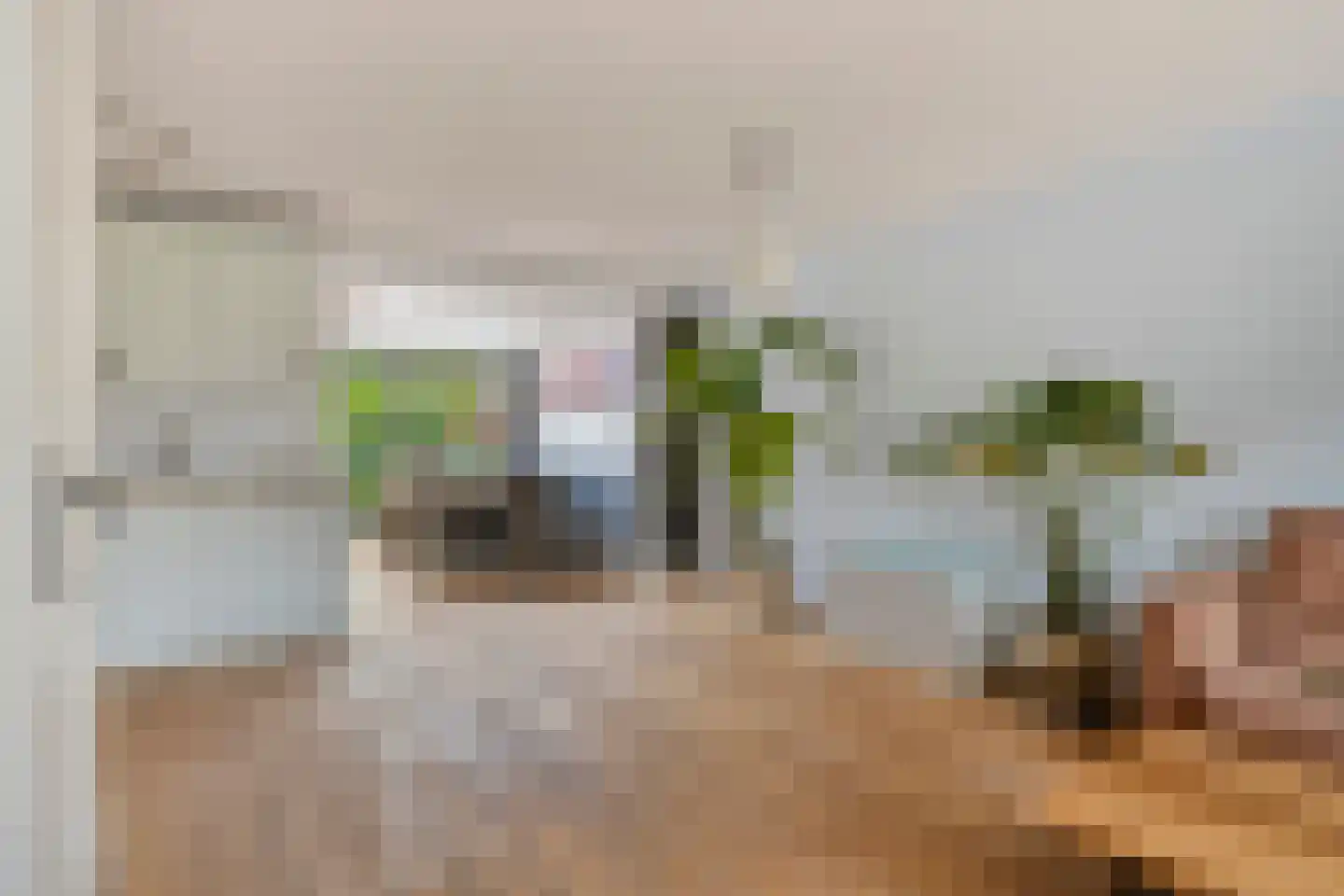 Torentrans 74 Middelburg thumbnail 7
