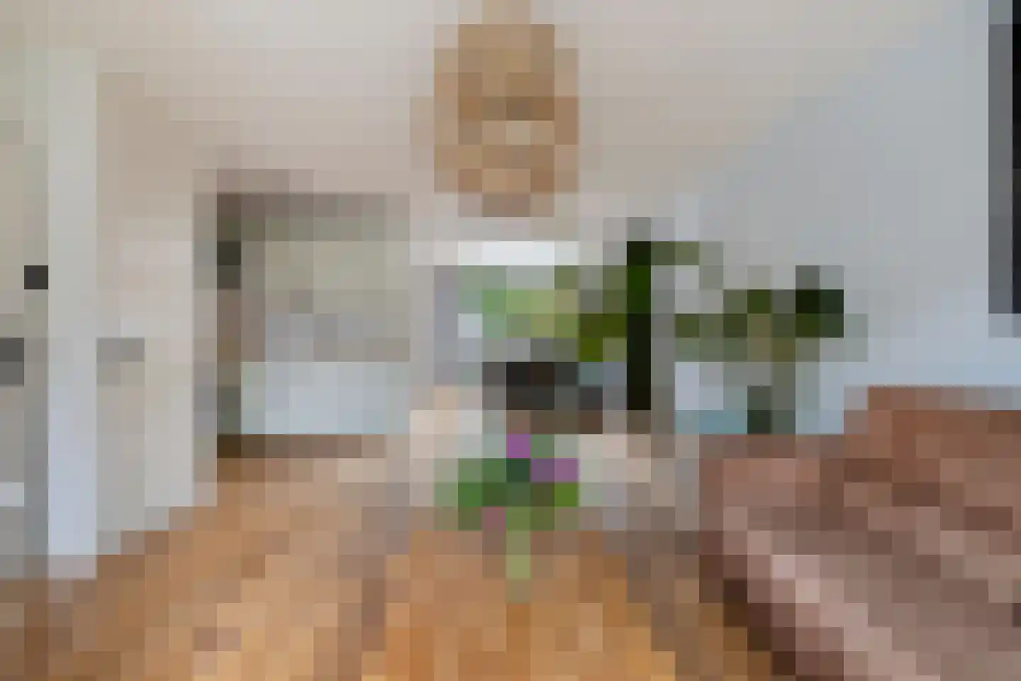 Torentrans 74 Middelburg thumbnail 8