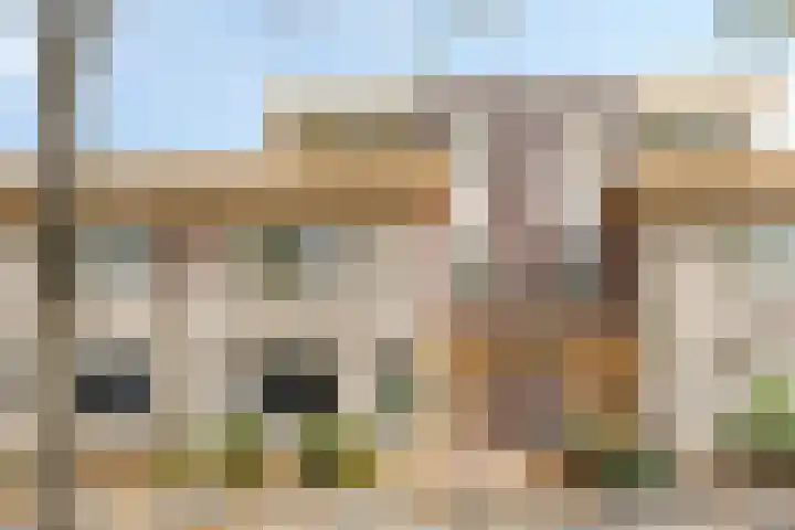 Torenvalk 11 Goirle thumbnail 10