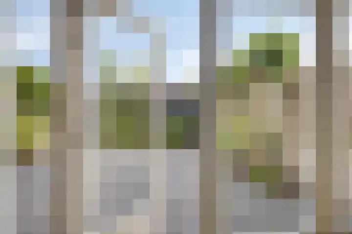 Torenvalk 11 Goirle thumbnail 20